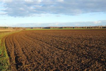 Proroga fine Asciutta totale Naviglio di Bereguardo e calendario delle Asciutte Autunnali Anno 2025